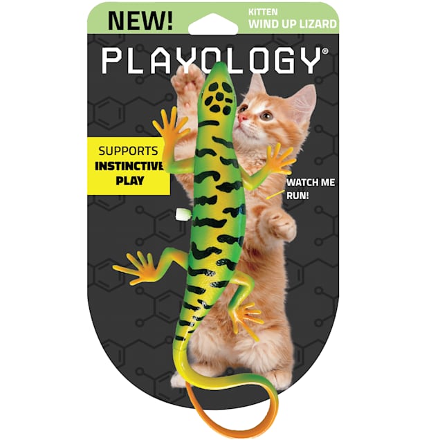 Playology Windup Lizard Cat Toy Small Petco